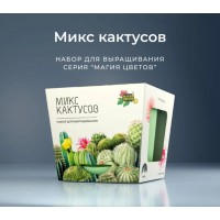 Набор для выращивания растений Премиум «Кактусы микс»